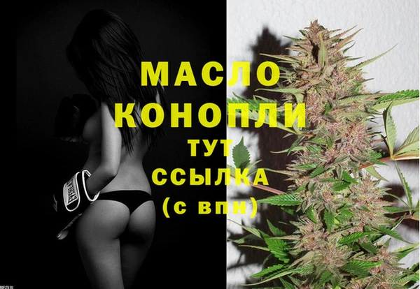 дмт Медногорск