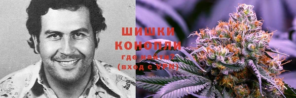 крисы Михайловск