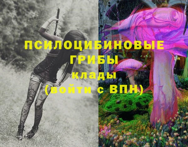 крисы Михайловск