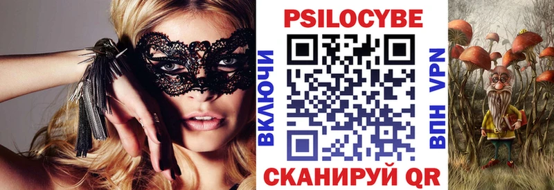 где можно купить   Новомичуринск  Галлюциногенные грибы мухоморы 