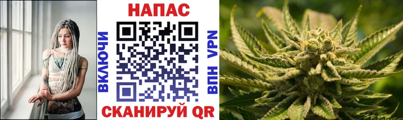 Конопля планчик Новомичуринск